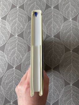 Nová kniha Ilustrovaná historie fotbalu: Síň slávy - 14