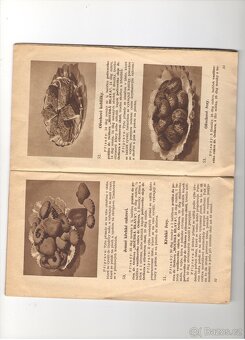 PRODÁM mapa II. CELOSTÁTNÍ SPARTAKIÁDA A DALŠÍ - 14