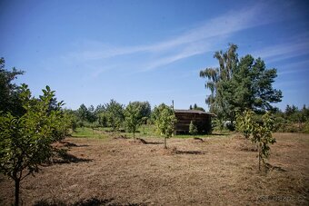 Prodej zahrady 3146 m2 Louny Lužerady - 14
