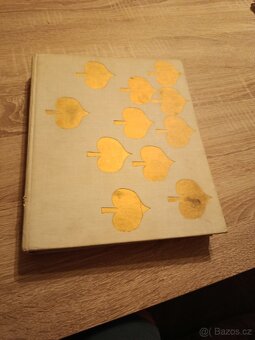 Dětské a knihy pro dospělé, Beatles , Karel Čapek - 14