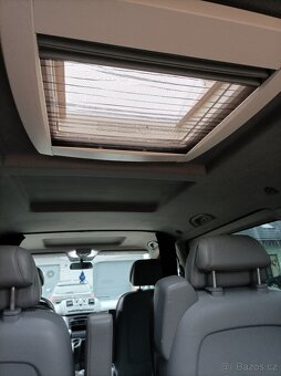 Mercedes Viano - 14