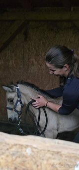 TOP klisnička PSL - 14