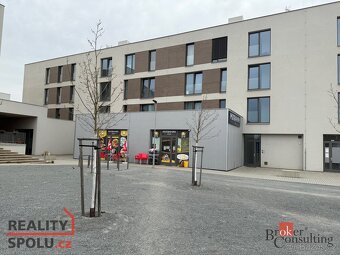 Pronájem, byty/1+kk, 30 m2, Diamantová 854/1, Újezd, 31200 P - 14