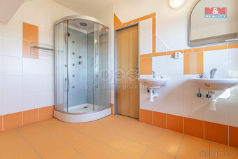 Prodej skladu, 3000 m², Albrechtice, ul. Obecní - 14