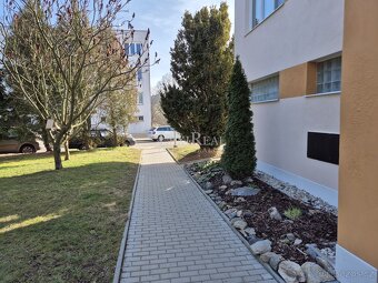 Prodej bytu 2+1, 47 m2, 3.NP, sklep, Sídliště II., Netvořice - 14
