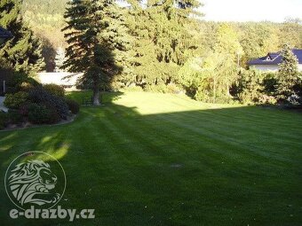 Rodinný dům (355 m2) se zahradou (1939 m2), Mariánské Lázně - 14