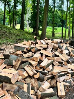 Prodej palivového dřeva - 14