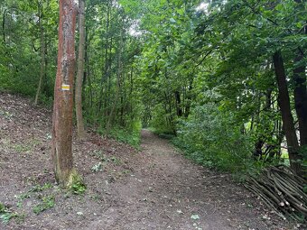 Stavební pozemek 1 528 m² u potoka – v chatařské osadě - 14