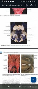 VŠ Skripta v PDF formátu - ČZU, Veterina, Ekonomie - 14