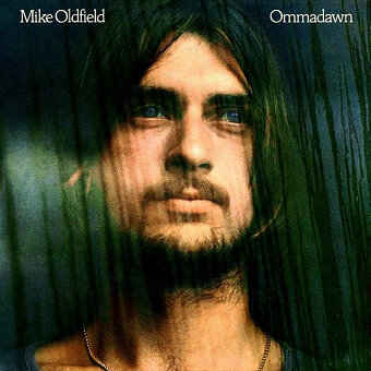 Prodám svou sbírku gramofonových desek - 133 - 14