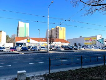 Pronájem 2+1/2+kk na ul. Palackého tř., Brno - Kr. Pole - 14