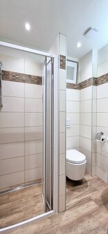 Prodej bytu 2+kk se sklepem a zahradou, Praha 2 - Nové Město - 14