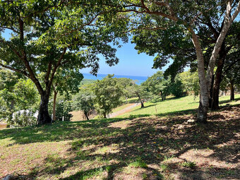 Diamond Rock Resort Lot#A6, Roatan - 14