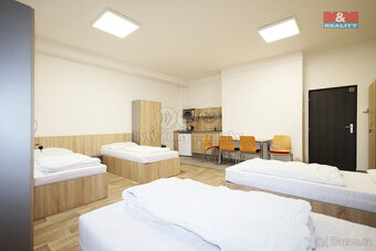 Pronájem ubytovacího zařízení, 300 m², Dalovice, Botanická - 14