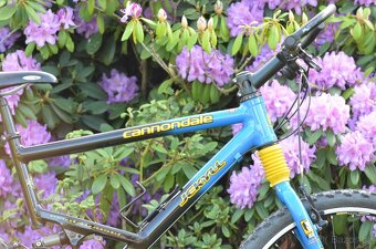 Cannondale JEKYLL 500 - 14