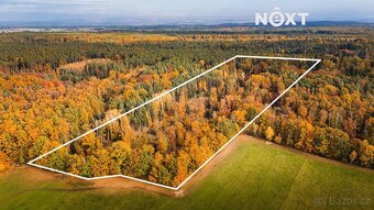 Prodej pozemek Lesy, 13718㎡ - 14