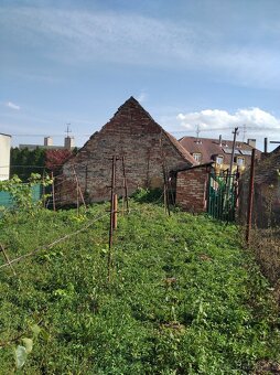 Prodej vinného sklepa - 14