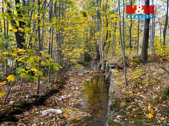 Prodej vodní plochy v Novém Městě pod Smrkem - 14