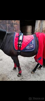 Prodám více věcí - 14