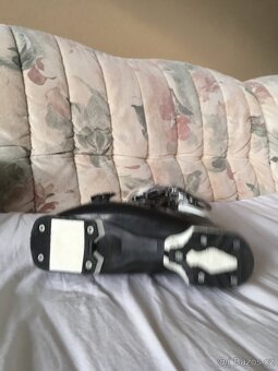 Prodám lyžáky vel. 38-38,5 - 14