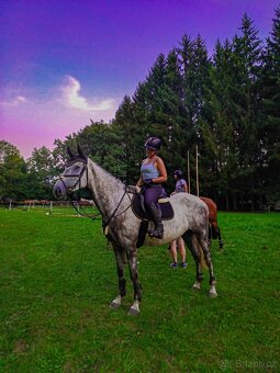 Valach do sportu nebo rekreaci - 14