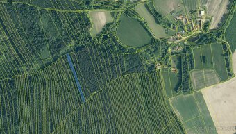 Prodám lesní pozemky v k.ú. Ločenice, p.č. 847 a 1201 - 14