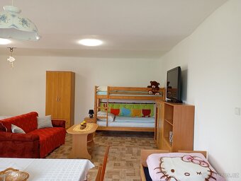 Apartmán na Kovárně - 14