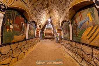 Prodej věhlasné nemovitosti Malovaného sklepa v Šatově, mezi - 14