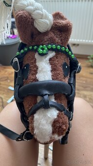 Hobby horse - 14