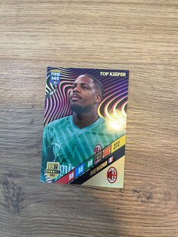 Fotbalové kartičky - 14