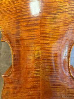 Krásné violončelo - 14