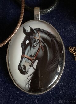 tématika. koně - 14