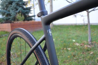 Specialized Diverge Expert Carbon (58) - 14