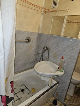 Pronájem bytu 1+1 Mariánské lázně - 14