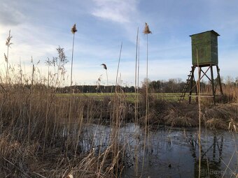 Veľký Pozemok 45 172 m² pri Malých Levároch - 14