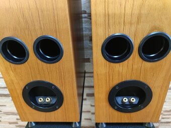 Dynaudio Gemini - 14