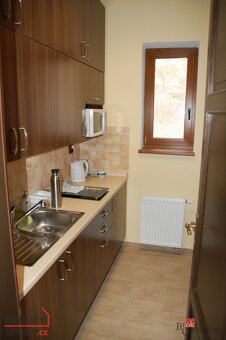 Prodej, domy/rodinný, 505 m2, Plzeňské Předměstí, 33701 Roky - 14