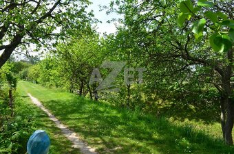 Prodej zahrádky, 386 m2, Šumperk - 14