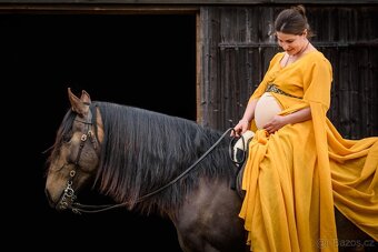 Extra Lusitano kobyla - 14