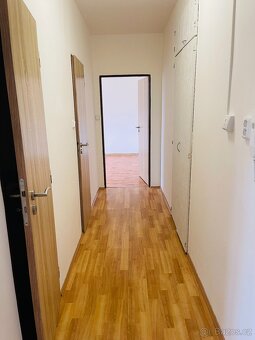 Pronájem, byt 2+1, 58m2, ul. Na Výsluní, Kralovice - 14