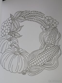 Omalovánky 50 Autumn Mandalas - 14