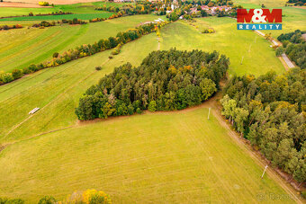 Prodej lesa, 39171 m², Ježovy - 14