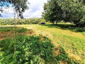 Prodej zahrady 200 m² Třesovice - Popovice - 14