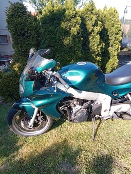 Triumph 955 i - 14