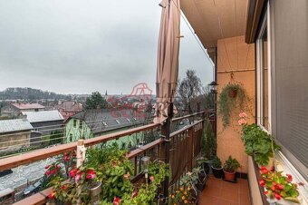 Prodej družstevního bytu 2+1 v Českém Těšíně - 14