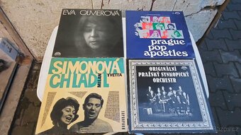 Měděné talire,sklo ,obraz, Lp desky - 14