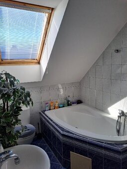 Prostorný 5+kk se zahradou a garáží na okraji Brna - 14