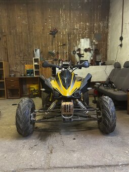 650 Campell Bashan 250 - 14