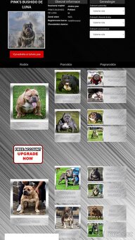 Štěňátka s PP - 14