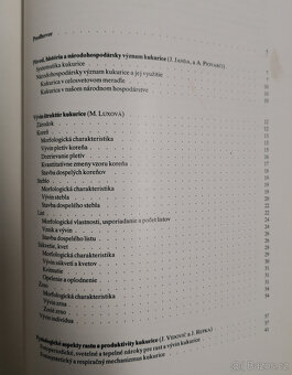 Kukurica - 14